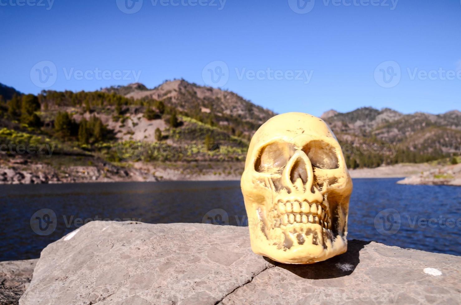 Plastic skull on the rock photo