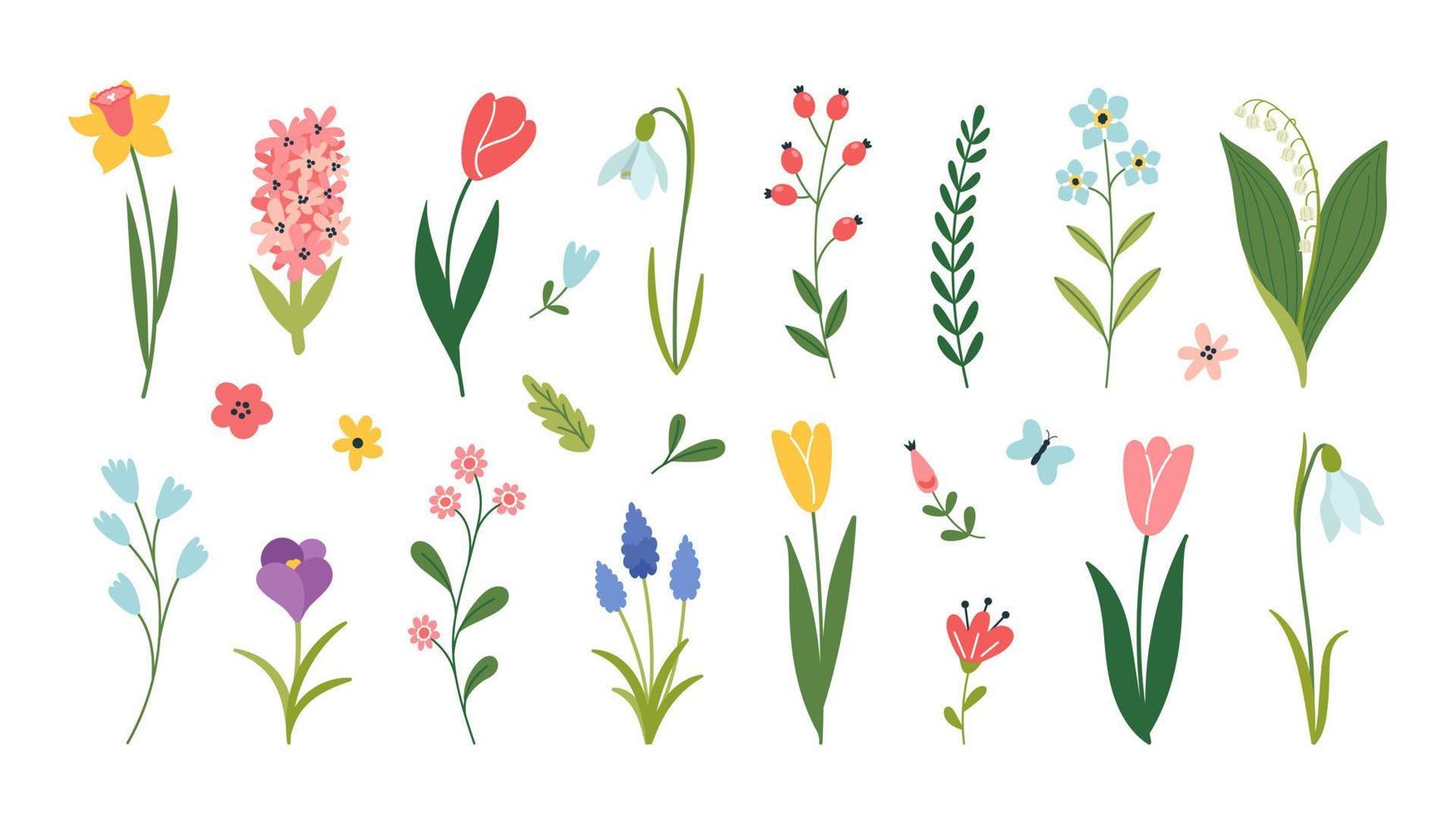 Set of spring flowers. Snowdrop, crocus, tulip, daffodil, hyacinth, muscari, lily of the valley. Wedding concept with flowers. Floral elements for greeting card or invitation design. vector