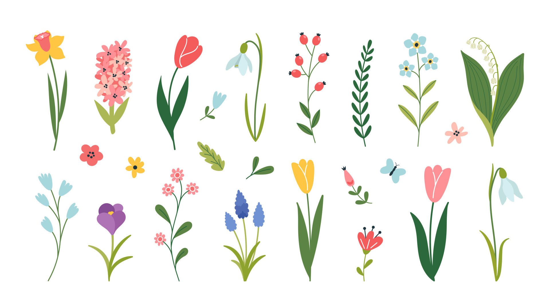 Set of spring flowers. Snowdrop, crocus, tulip, daffodil, hyacinth