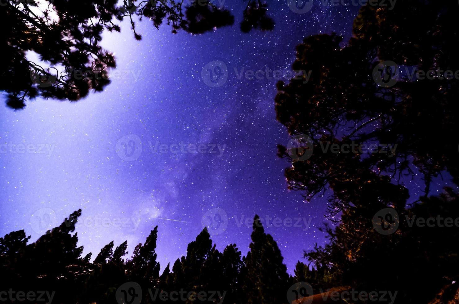 estrellas en el cielo nocturno foto