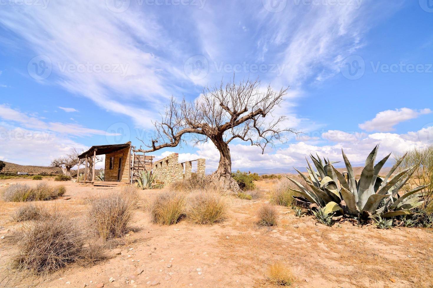 Scenic rural landscape photo