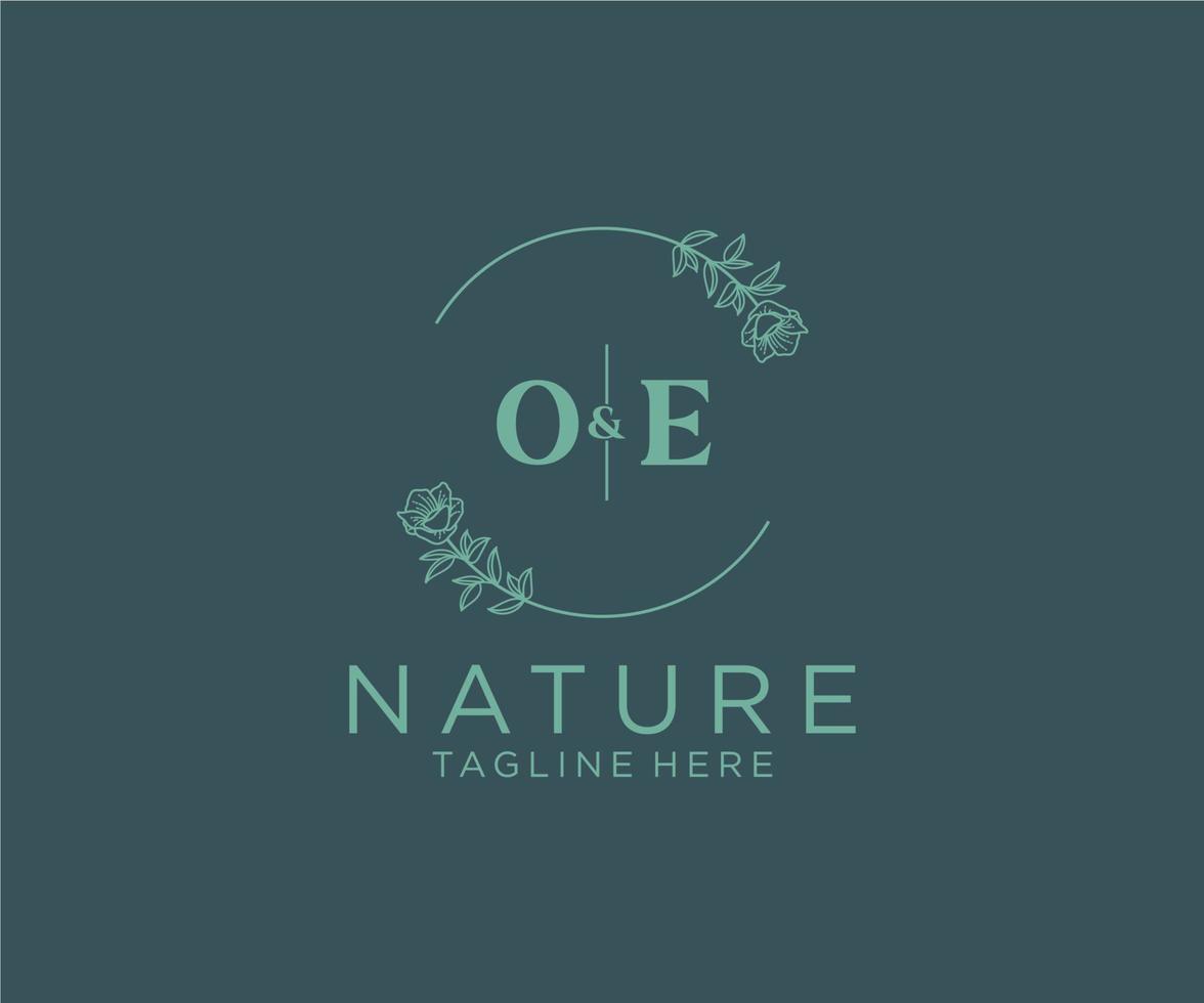 initial OE letters Botanical feminine logo template floral, editable premade monoline logo suitable, Luxury feminine wedding branding, corporate. vector