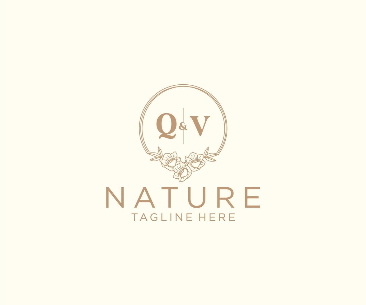 initial QV letters floral frames. Botanical feminine editable premade monoline unique decoration for greeting card, wedding invitation. vector