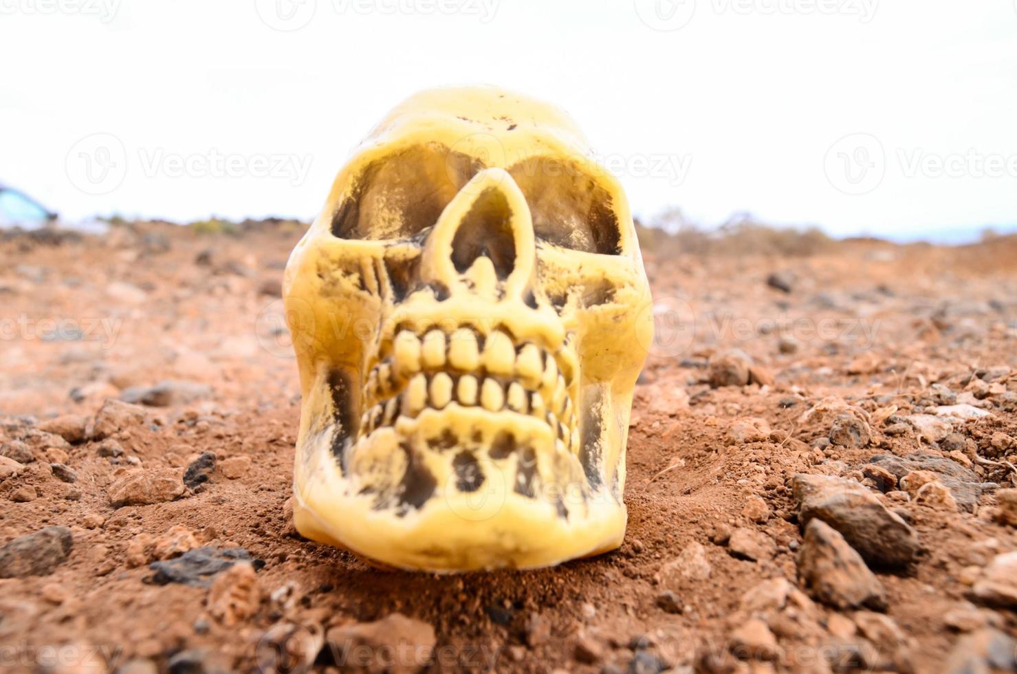 Plastic skull in the desert photo