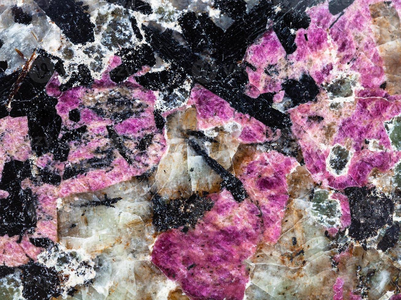 polished syenite stone with eudialyte and aegirine photo