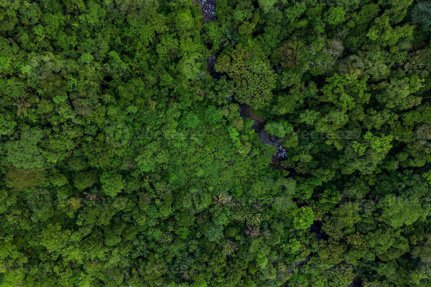 Aerial view of green rice terraces in Indonesia photo