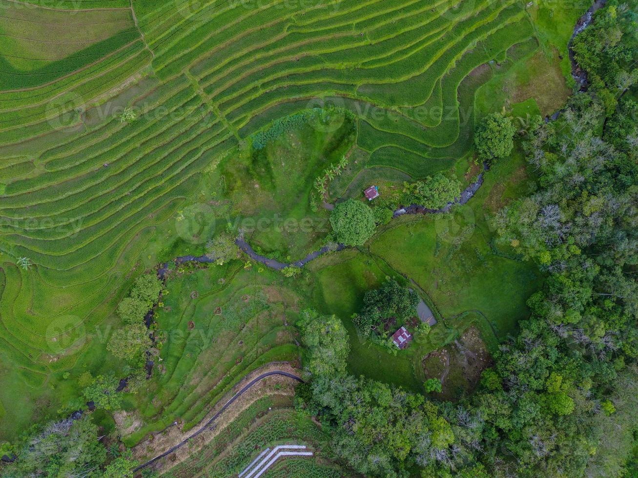 aéreo ver de verde arroz gradas en Indonesia foto