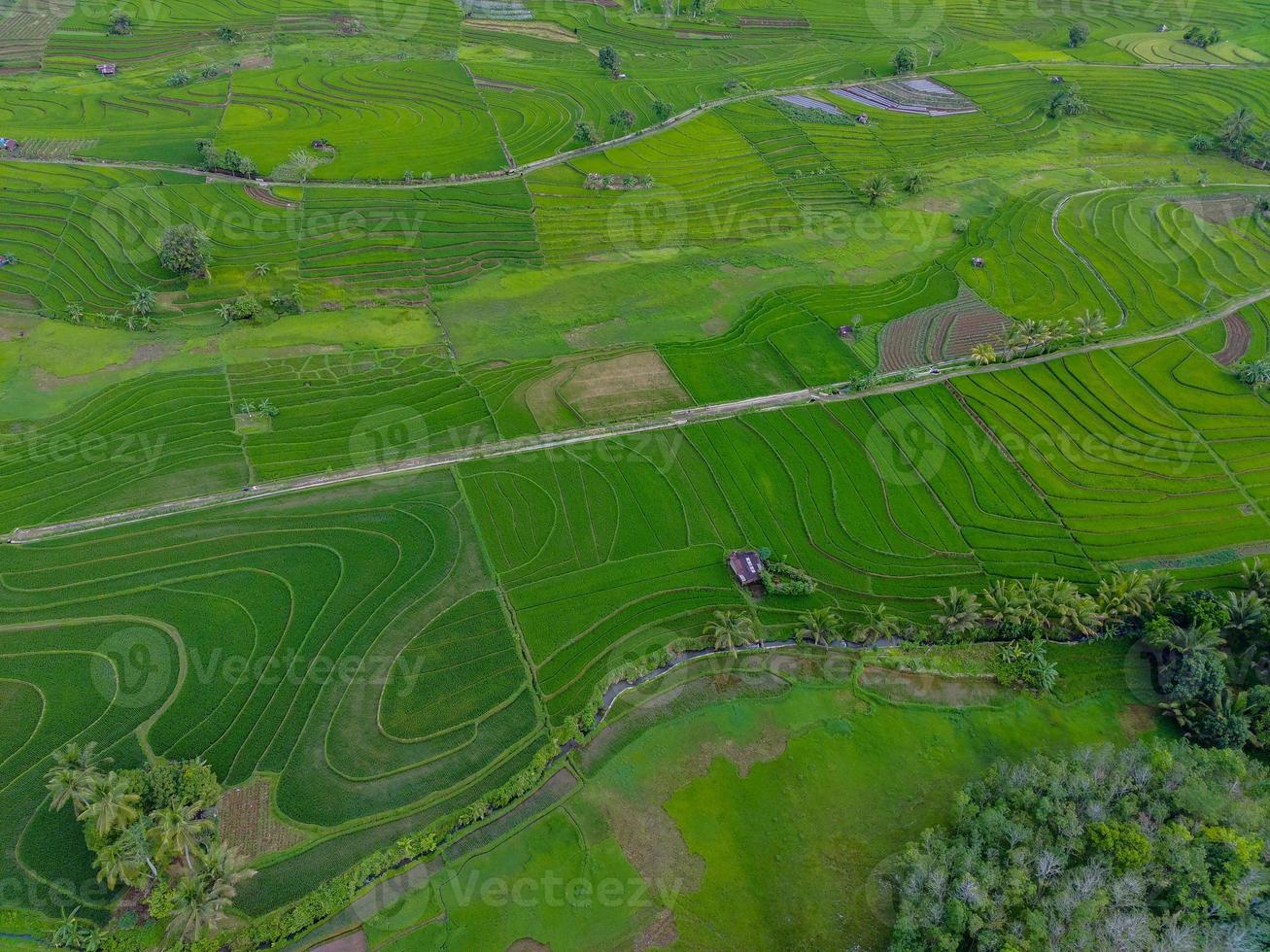 aéreo ver de verde arroz gradas en Indonesia foto