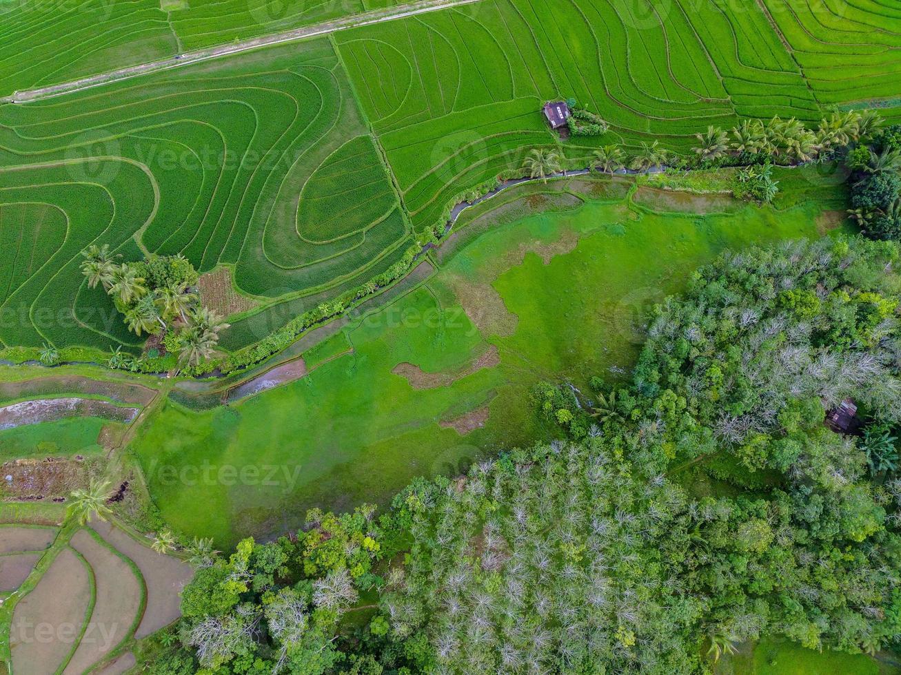 aéreo ver de verde arroz gradas en Indonesia foto