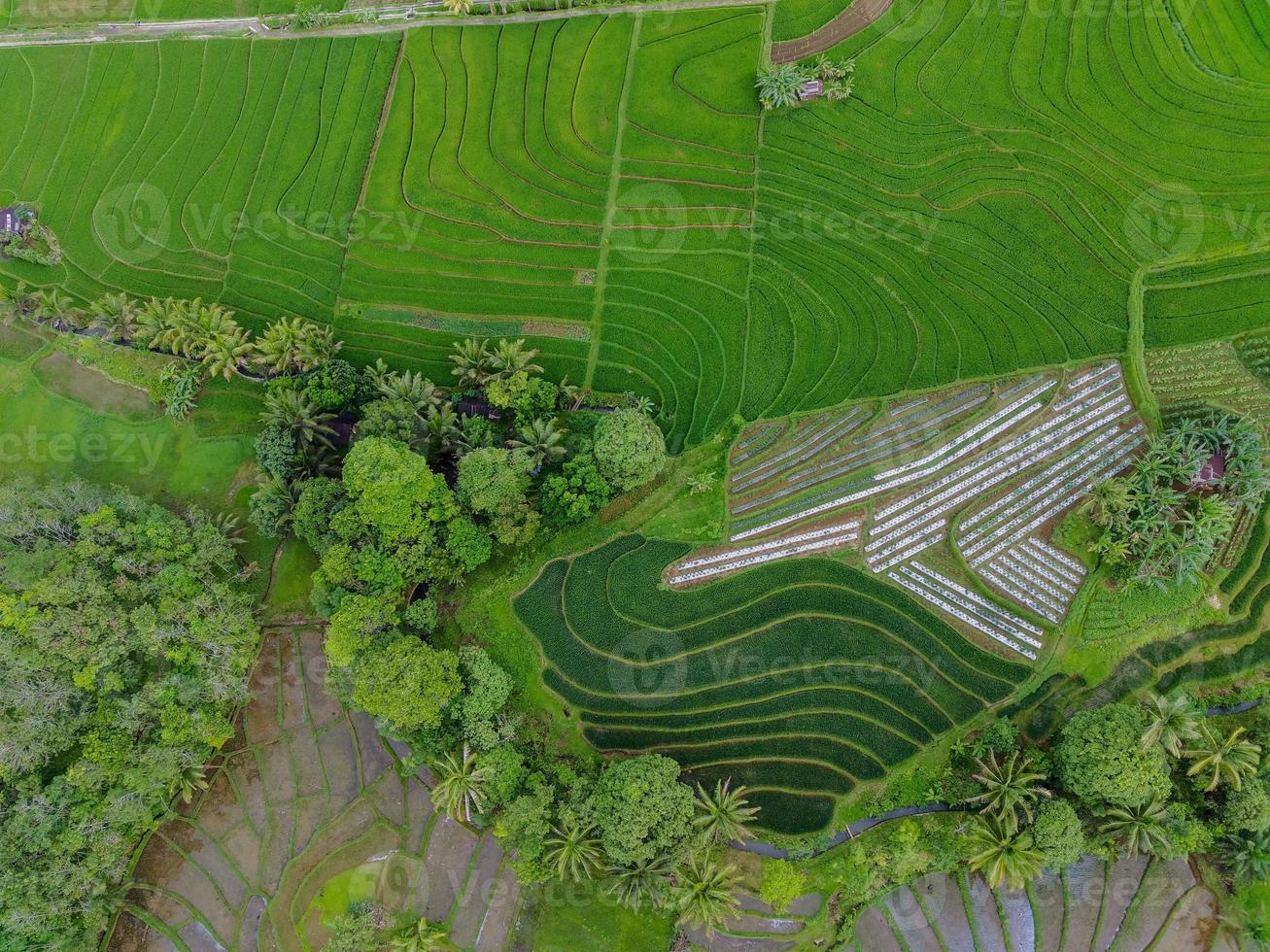 aéreo ver de verde arroz gradas en Indonesia foto