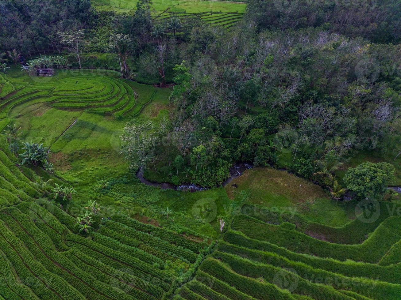 aéreo ver de verde arroz gradas en Indonesia foto