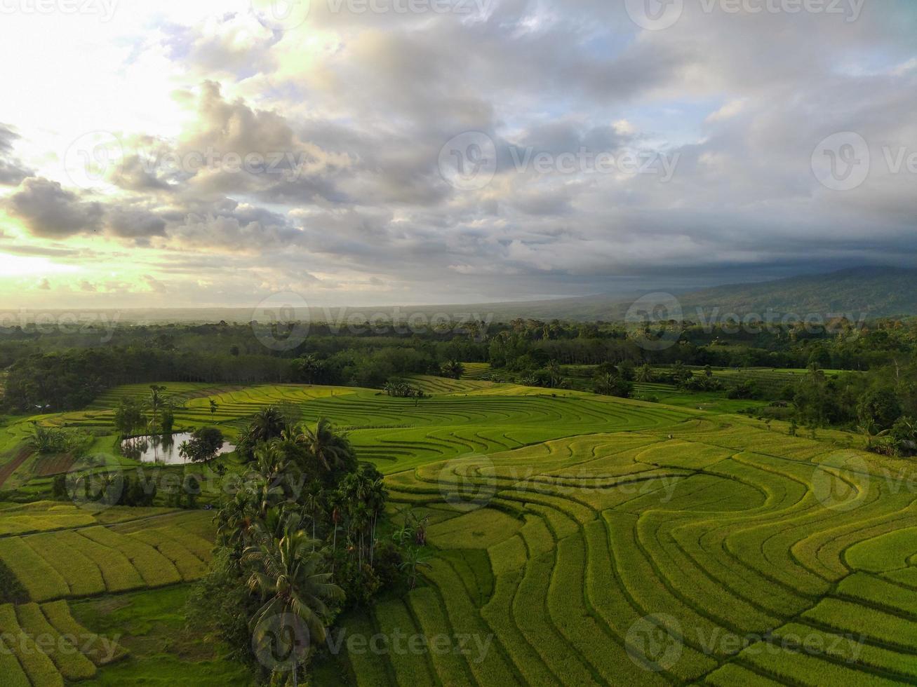 aéreo ver de verde arroz gradas en Indonesia foto