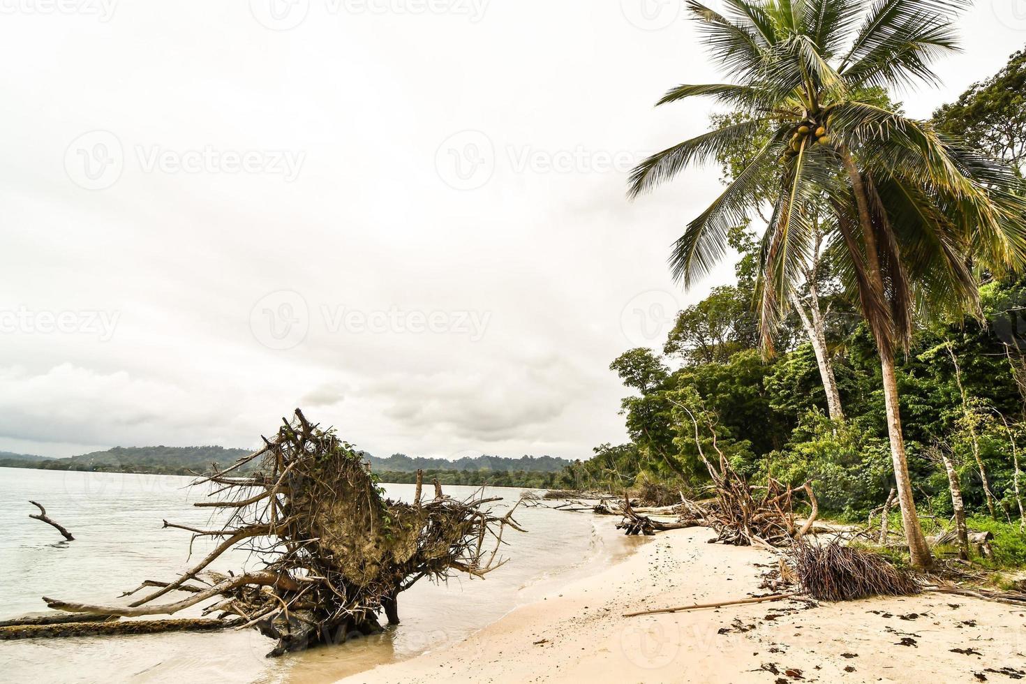 Scenic coastal view photo