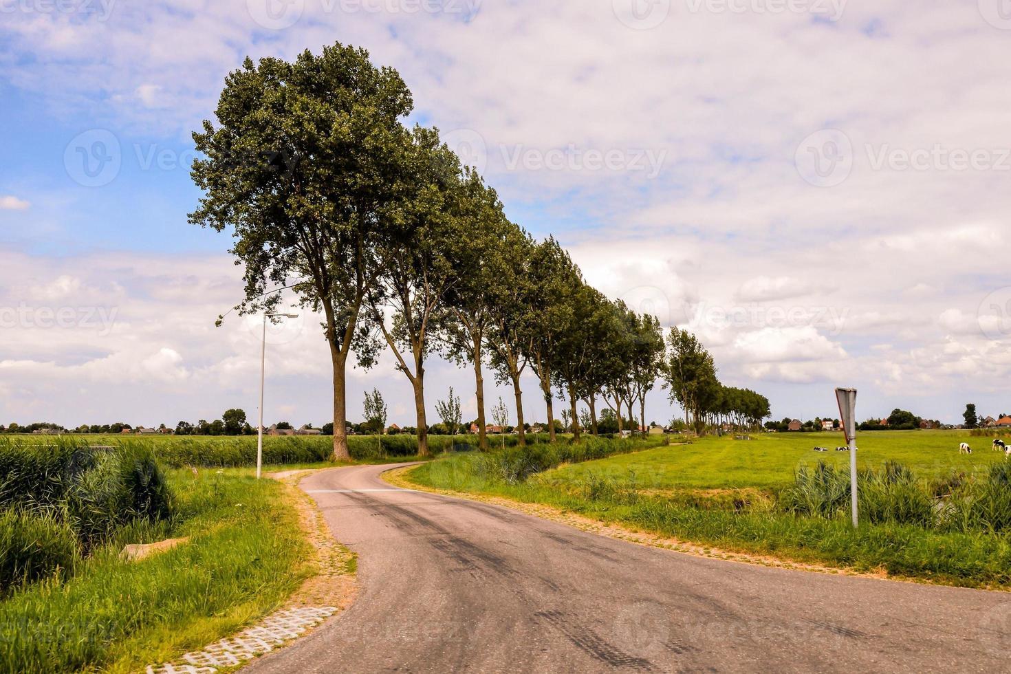 Road in the countryside photo