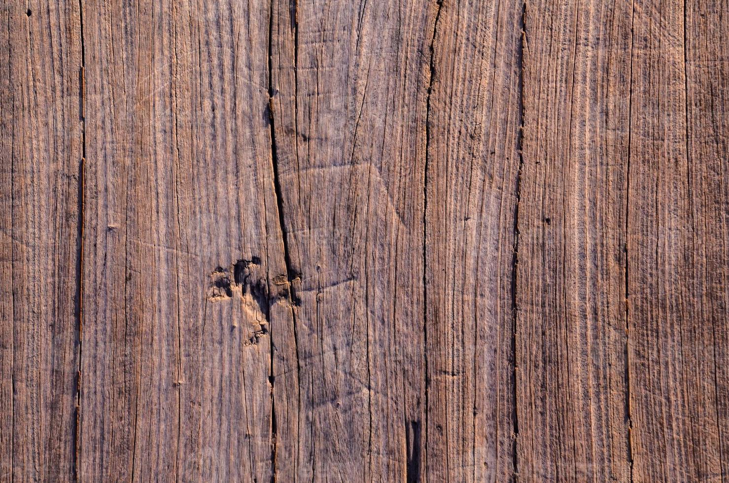 Wooden board texture photo