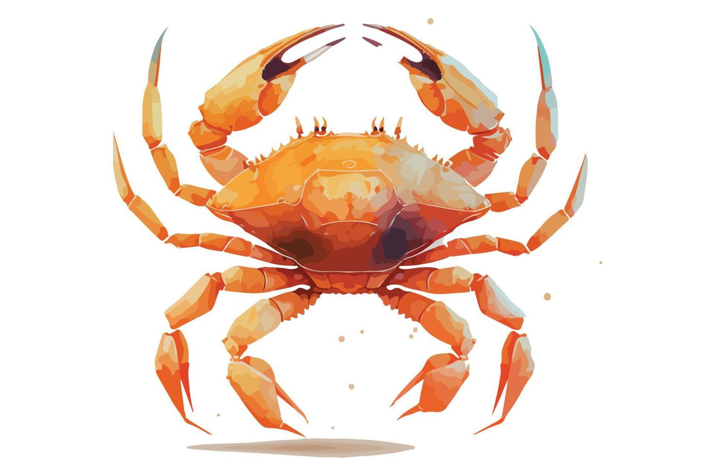 watercolor Crab vector illustration 21590608 Vector Art at Vecteezy