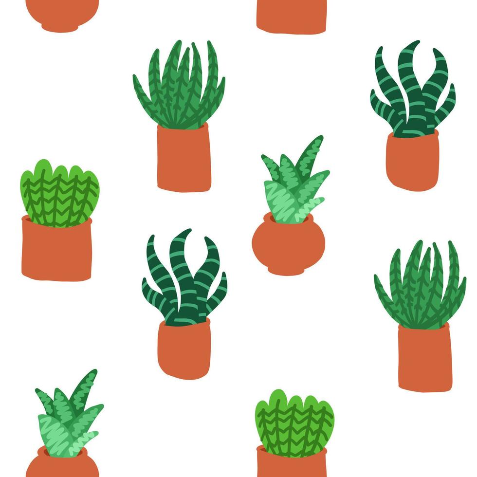 Cacti pattern. Vector illustration in cartoon flat style isolated on white background.