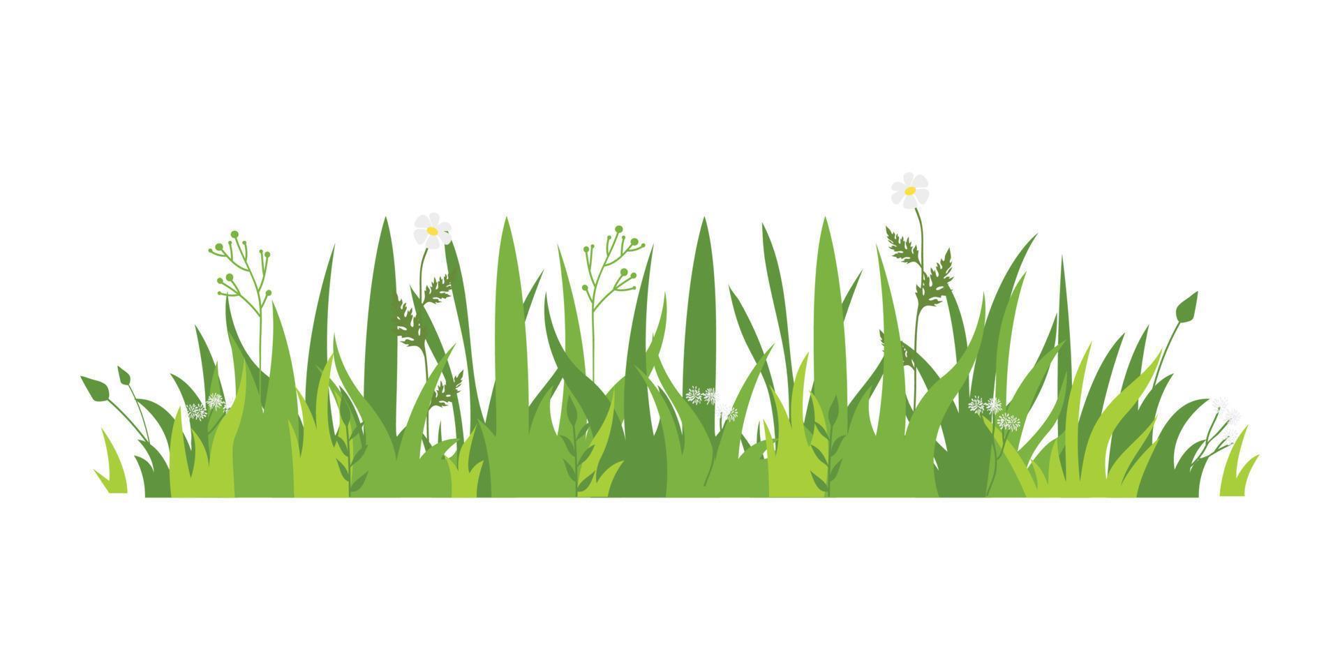 Green grass Illustration. Green lawn, flower, natural borders, herbs. Flat vector illustrations for spring, summer, nature, ground, plants concept.