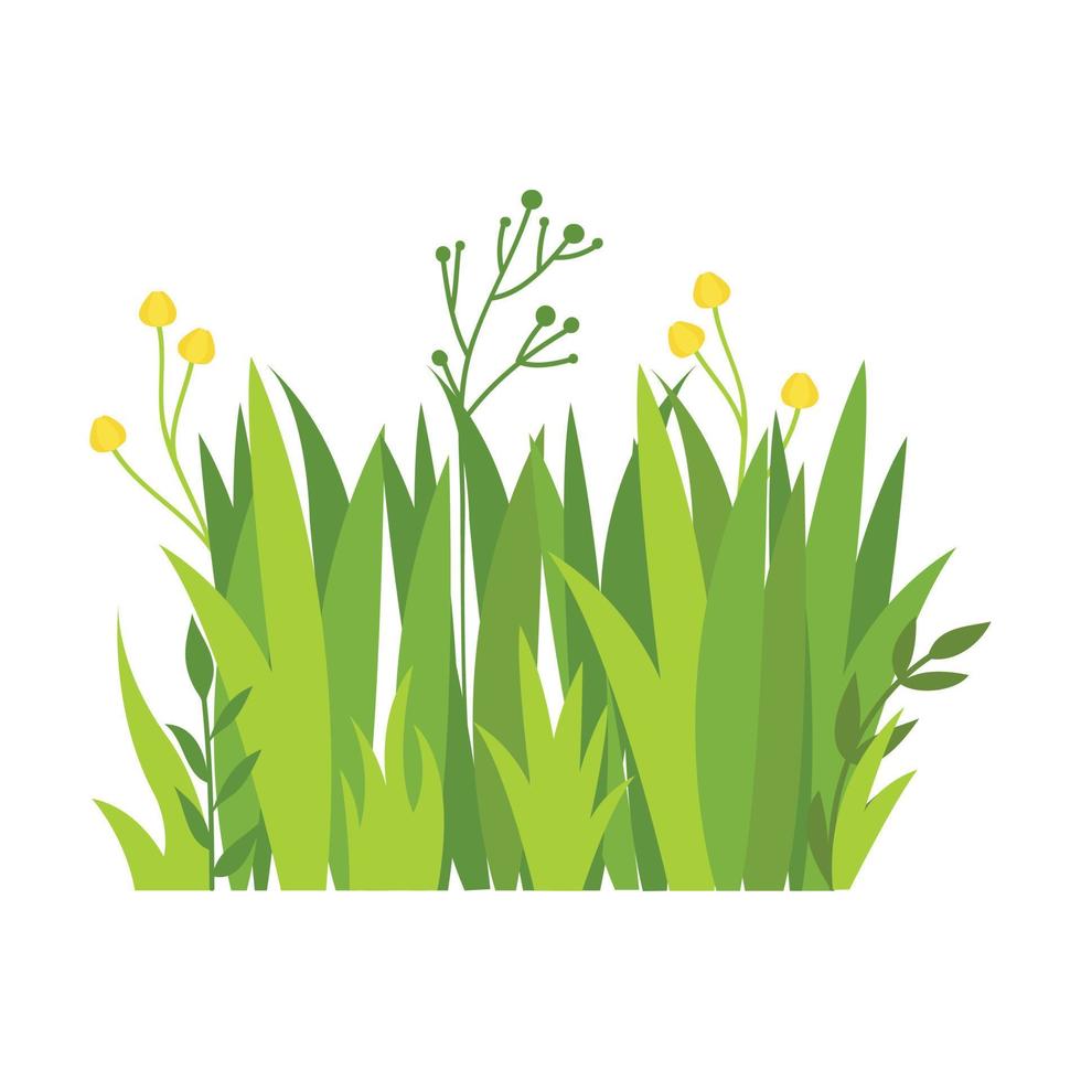 Green grass Illustration. Green lawn, flower, natural borders, herbs. Flat vector illustrations for spring, summer, nature, ground, plants concept.