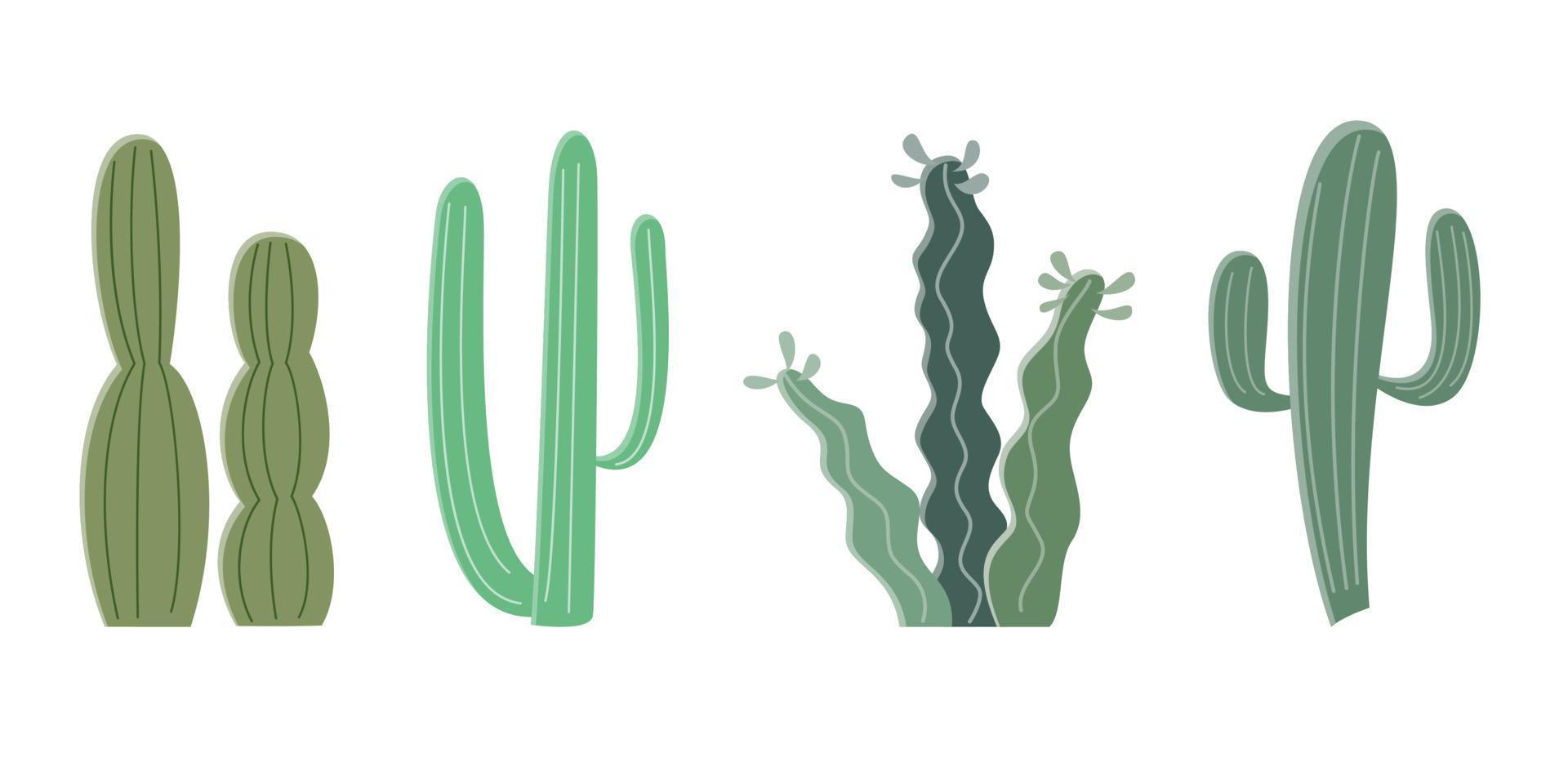 cactus ilustración en un plano estilo en un blanco antecedentes. hogar plantas cactus ilustración. vector