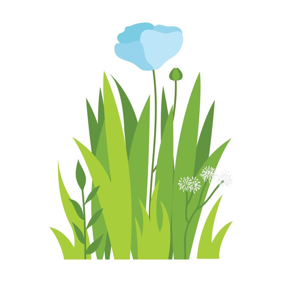 Green grass Illustration. Green lawn, flower, natural borders, herbs. Flat vector illustrations for spring, summer, nature, ground, plants concept.