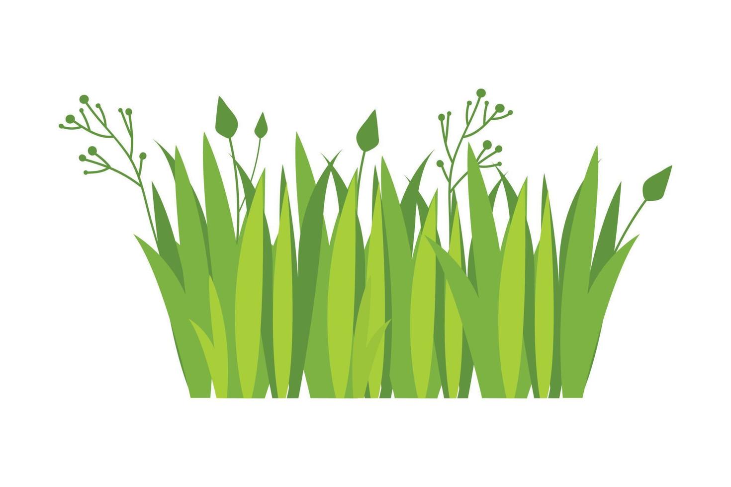 Green grass Illustration. Green lawn, flower, natural borders, herbs. Flat vector illustrations for spring, summer, nature, ground, plants concept.