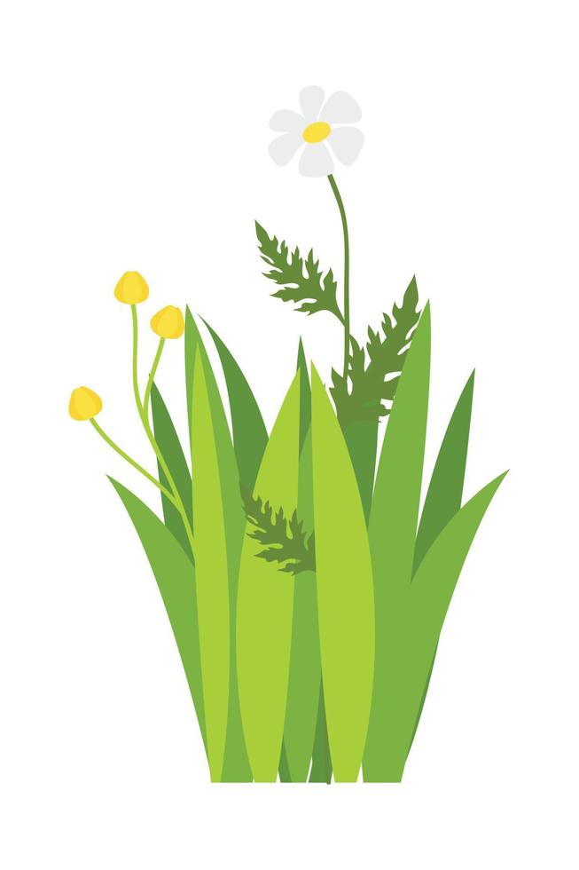 verde césped ilustración. verde césped, flor, natural fronteras, hierbas. plano vector ilustraciones para primavera, verano, naturaleza, suelo, plantas concepto.