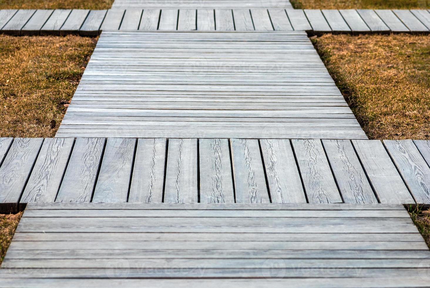 Boardwalk of wooden planks in public park made to protect ecosystem photo