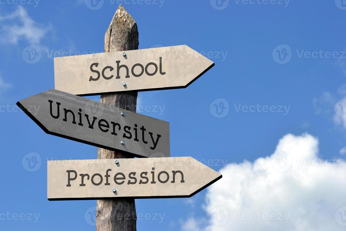 School, University, Profession - Wooden Signpost with Three Arrows, Sky with Clouds photo