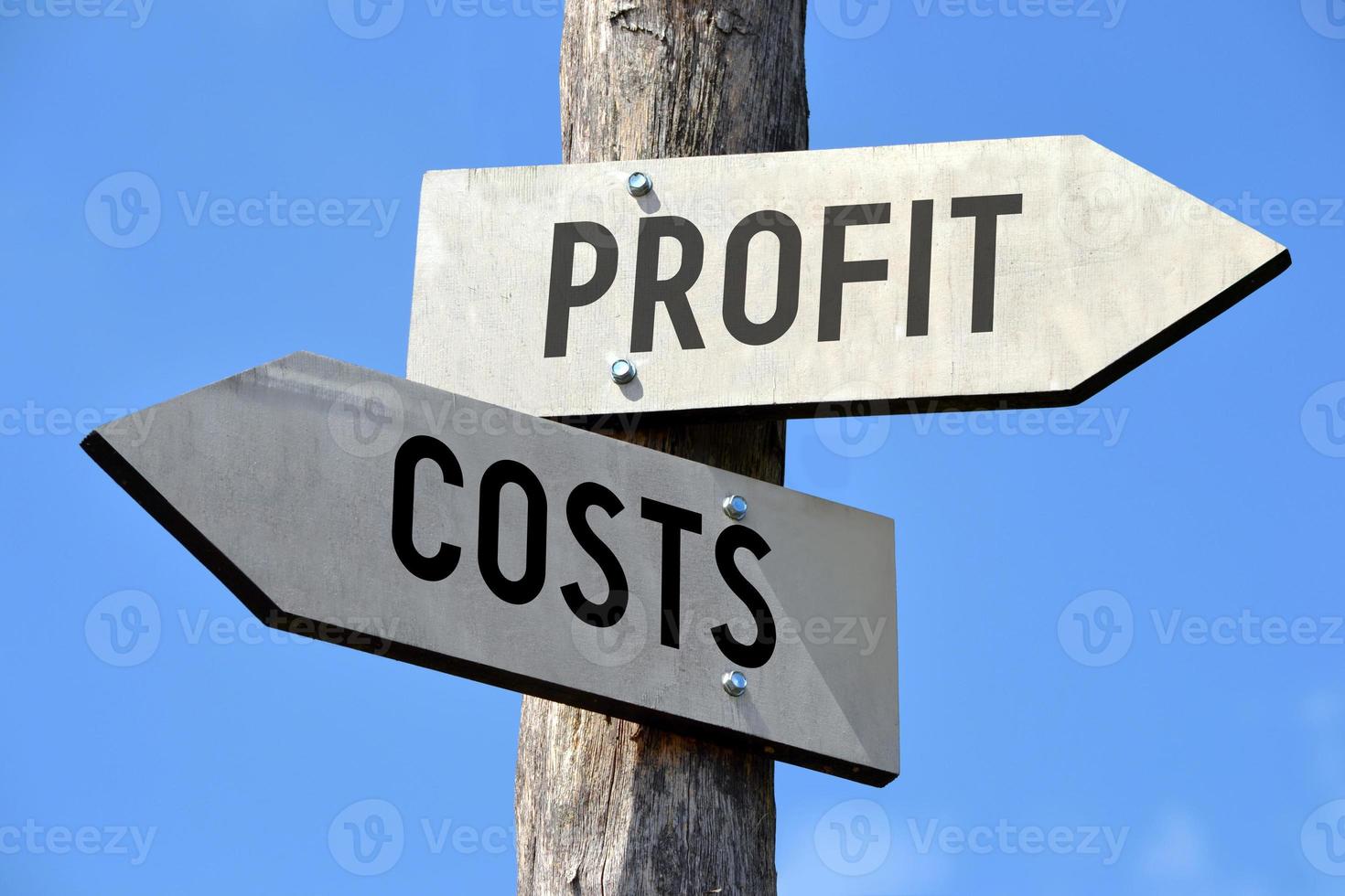 Profit and Cost - Wooden Signpost with Two Arrows photo