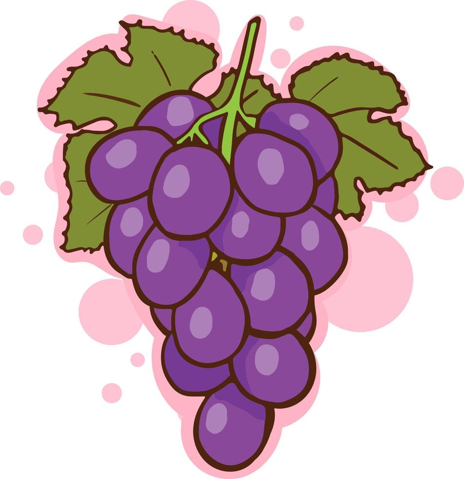 imagen de uva dibujos animados vector