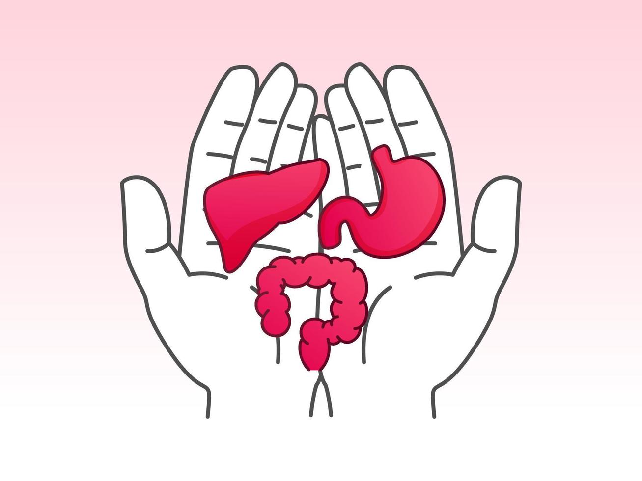 Disgestive systems organs health design for World Digestive Health Day, stomach, intestines, liver vector