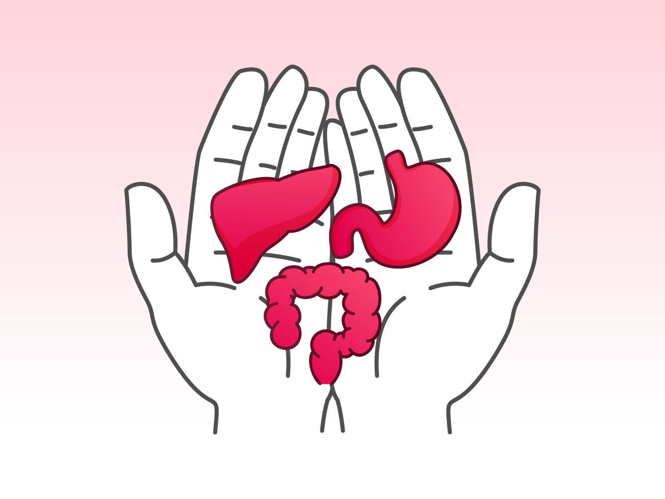 disgestivo sistemas órganos salud diseño para mundo digestivo salud día, estómago, intestinos, hígado vector