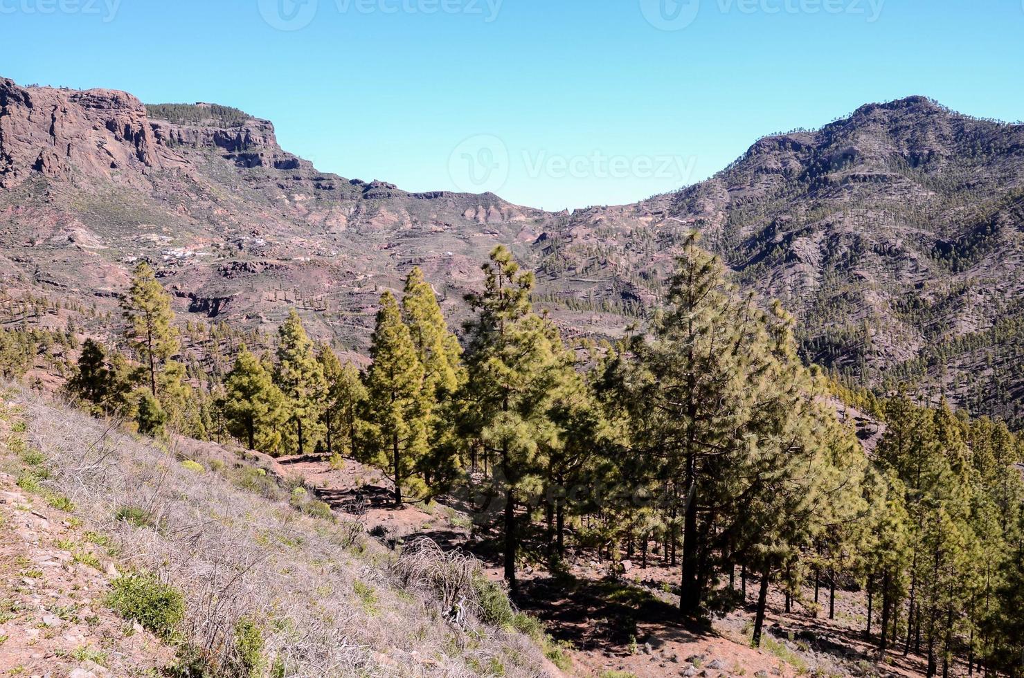 paisaje escénico de montaña foto