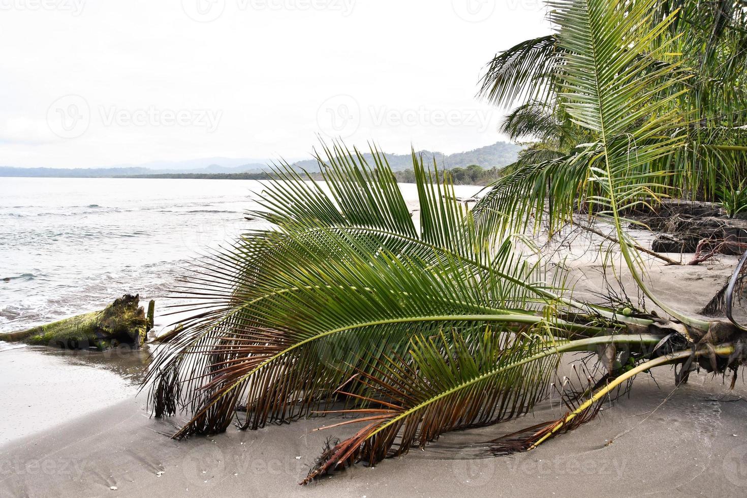 Scenic coastal view photo