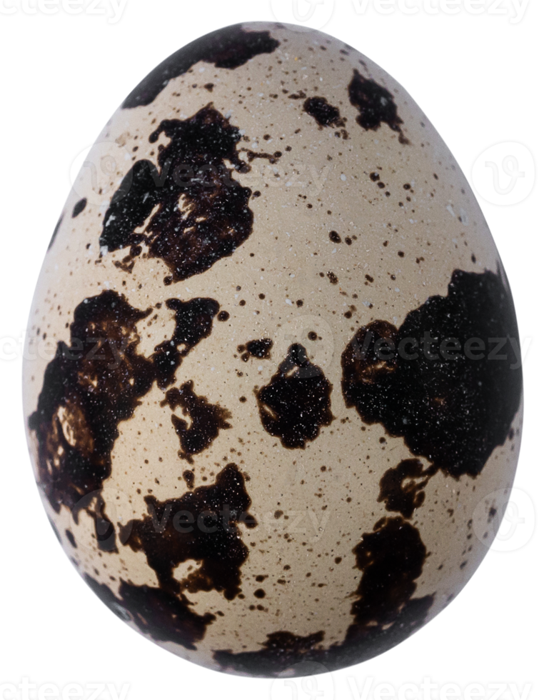 codorniz huevos aislado para diseño png