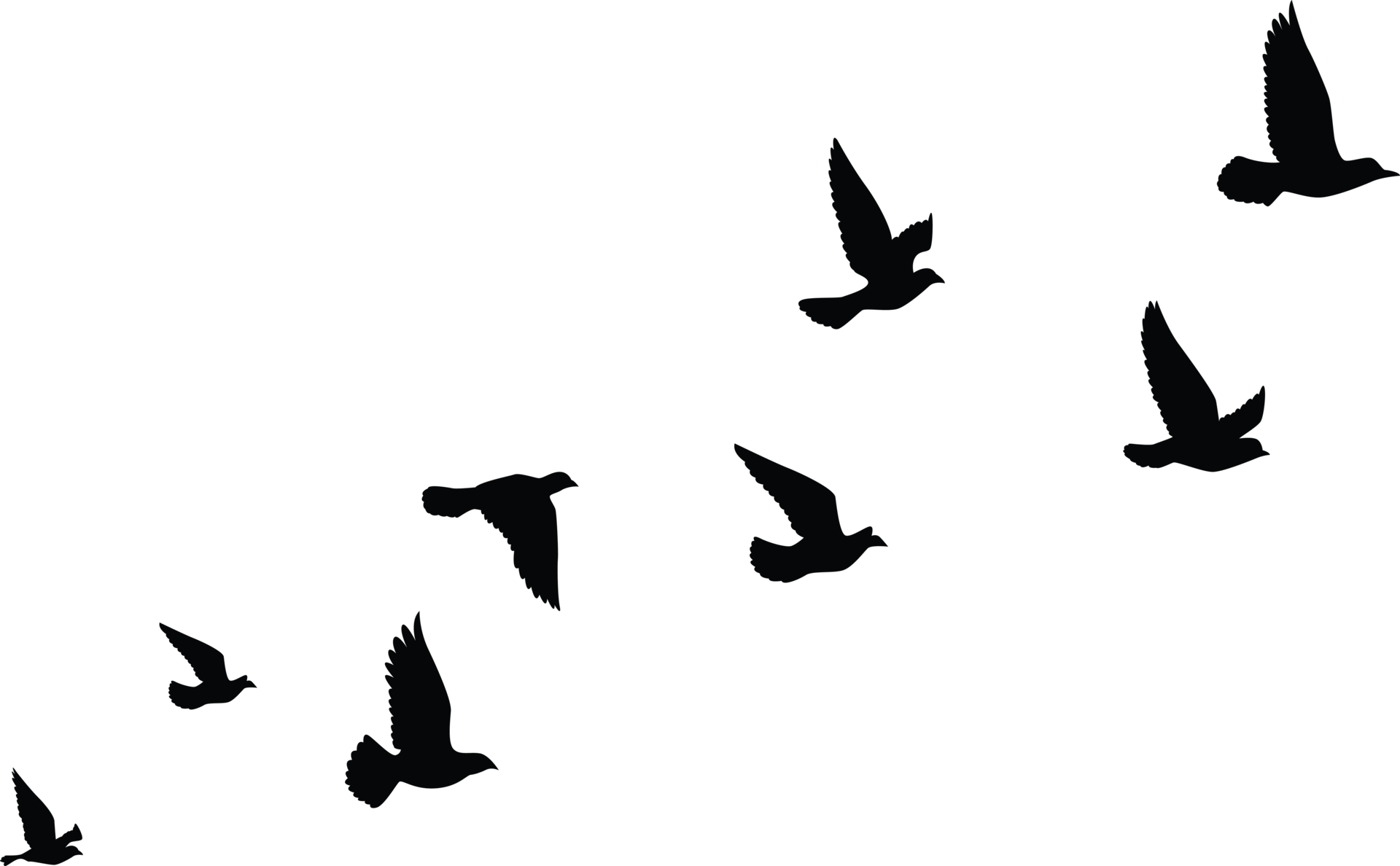 Flying Birds Png Image Flying Bird Birdie Bird Bird M - vrogue.co