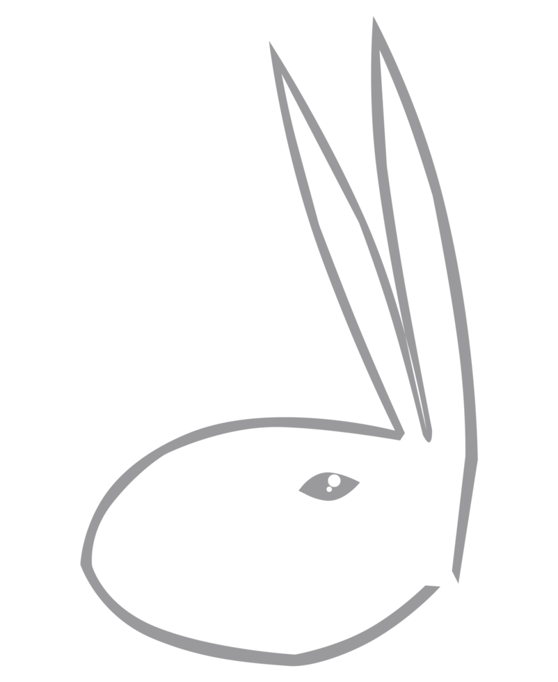 Grey Rabbit Free png