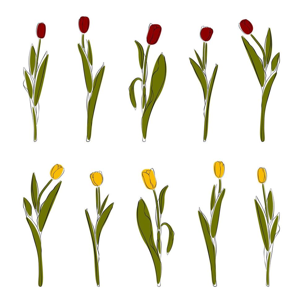 Set of hand drawn tulips with line and colored spots on an isolated background. Cut out elements of spring flowers for the design. Set of flower sketches in EPS format. Set flowers. vector