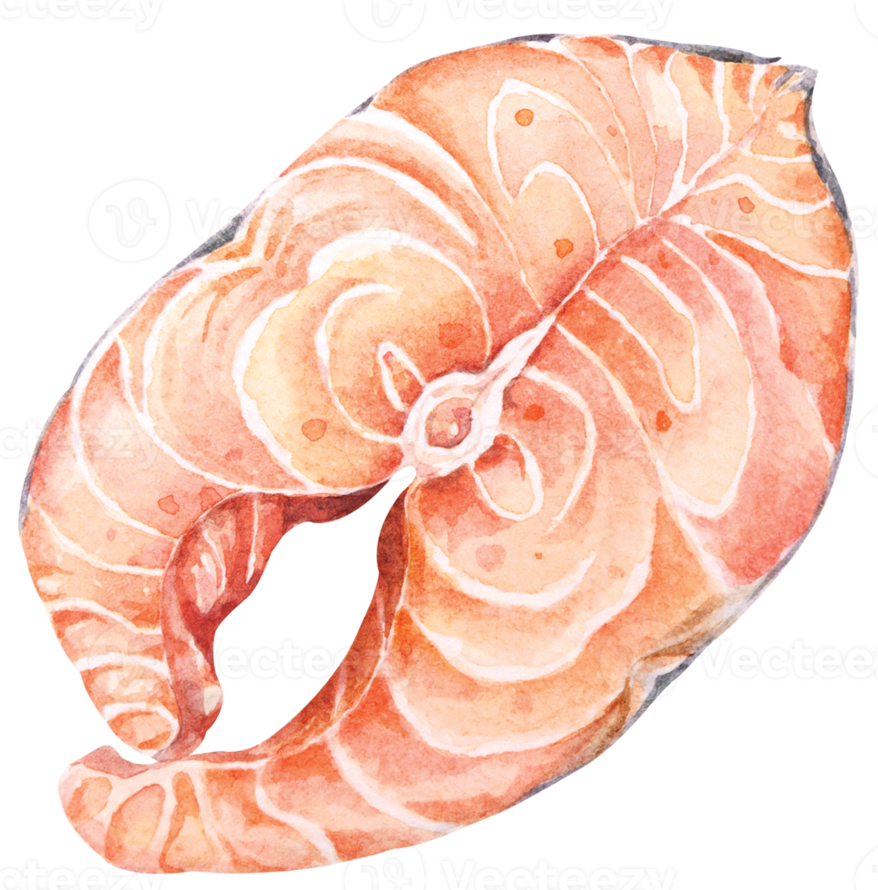 salmón bistec.acuarela de comida.de.salmon ilustración para menú, restaurantes.pescado Fresco mar comida.mar criaturas.comida ingrediente. png