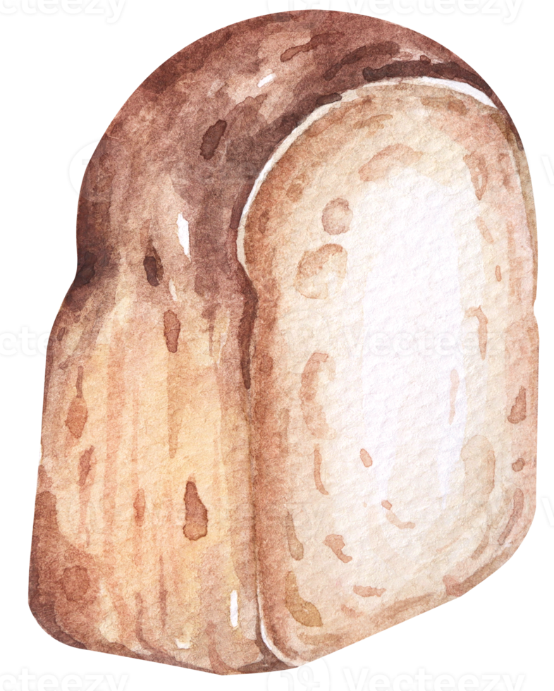 Bread watercolor.Hand drawn toast.Bun snack bakery for design menu cafe.Baked bread. png