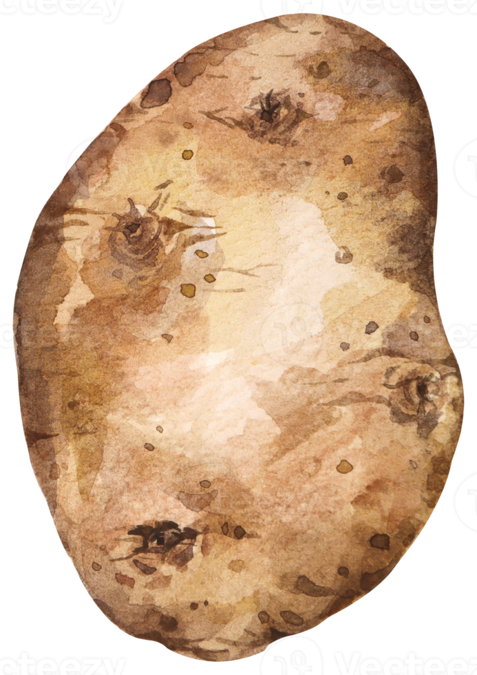 aguarela batata 1 png