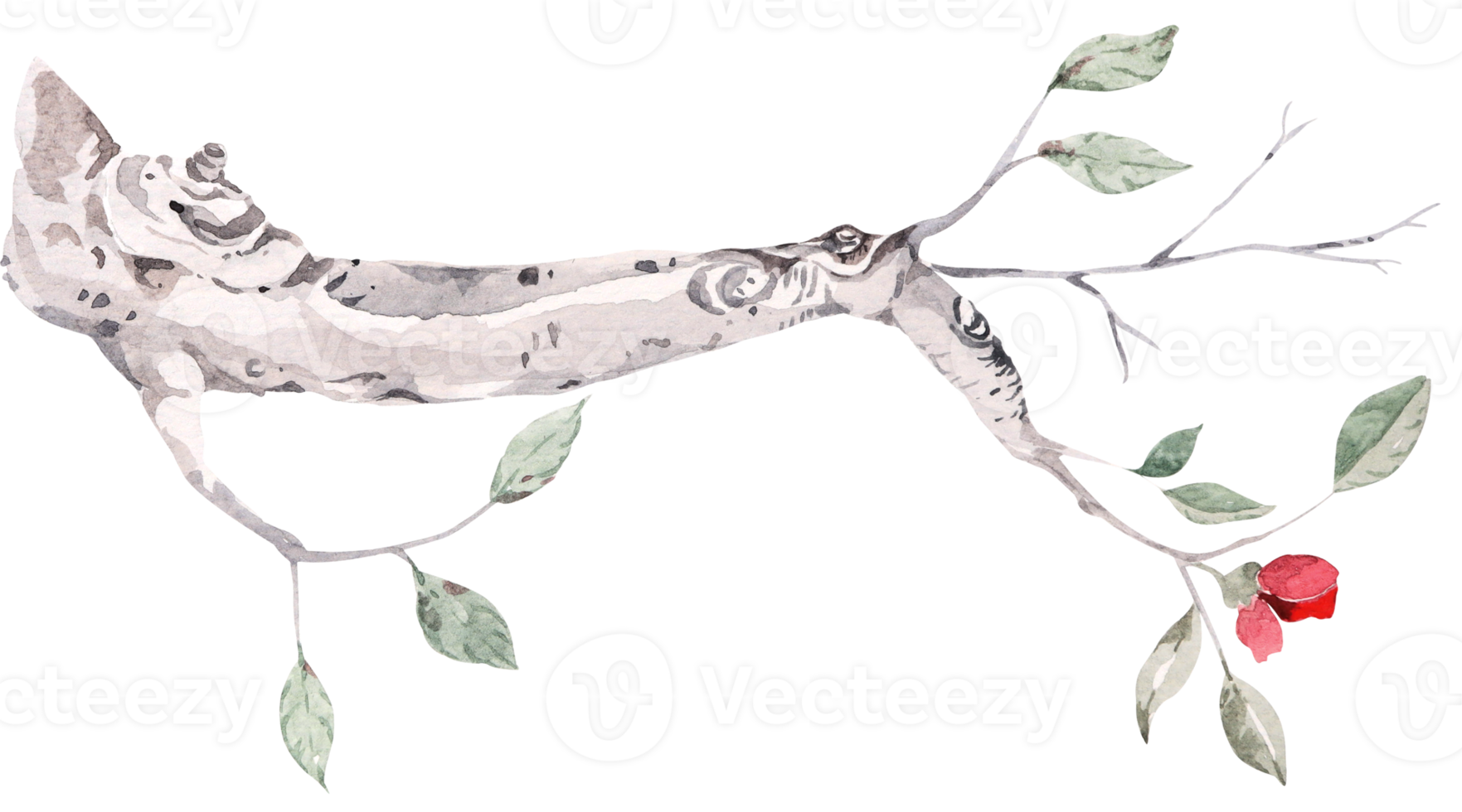 Hand gezeichnet Aquarell von Zweige und Blätter zum herbst.baum Ast. geeignet zum Natur Stil Einladung Karte Hintergrund Dekoration. png
