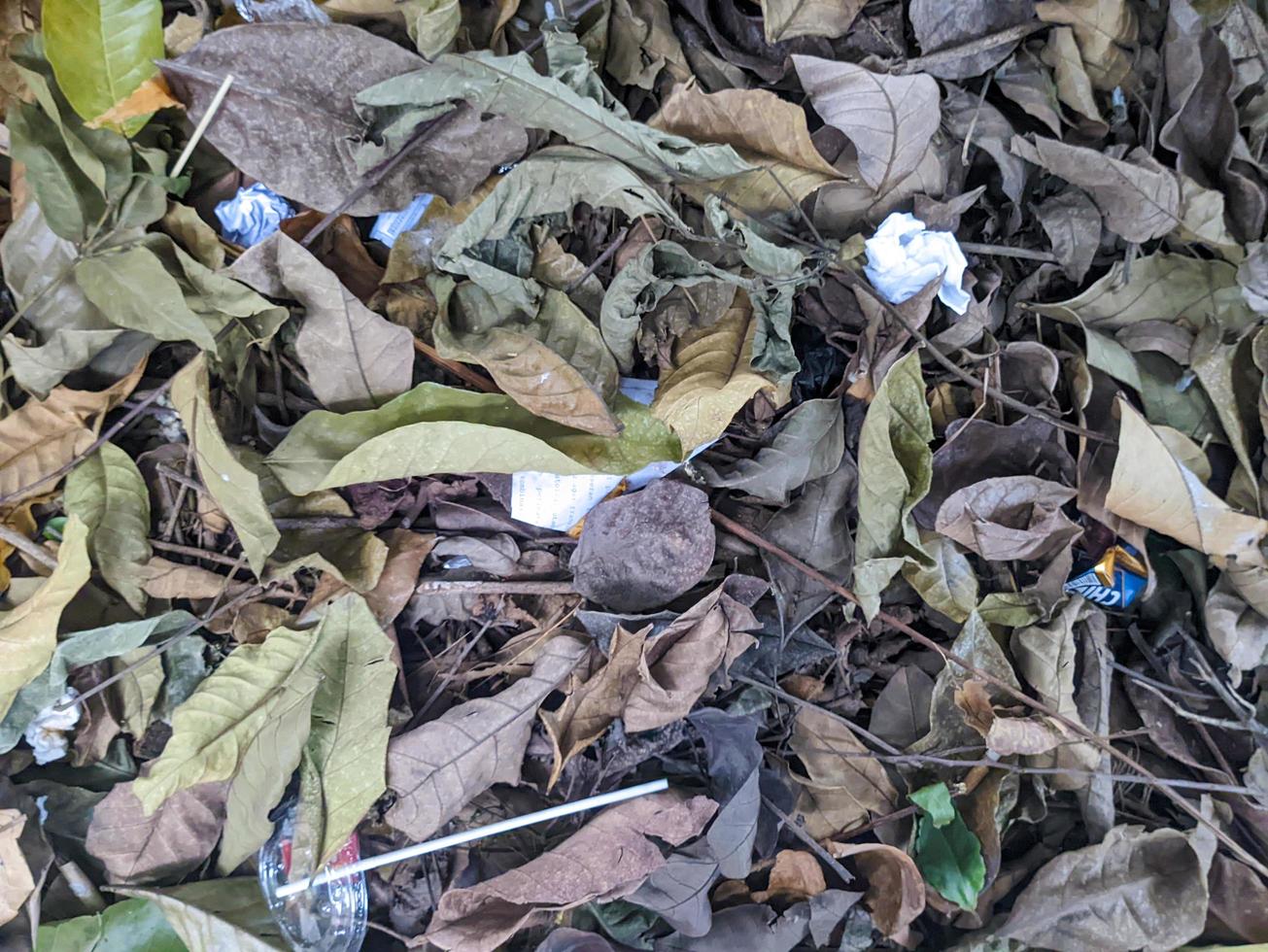 A close up of pile of dry leaves litter photo