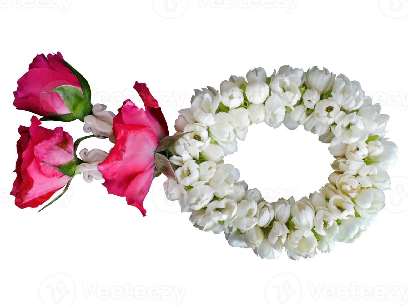 Isolated Thai traditional style, jasmine garland, symbol of mother day, homage to a Buddha Jasmine, Maalai, transparent background, cutout png