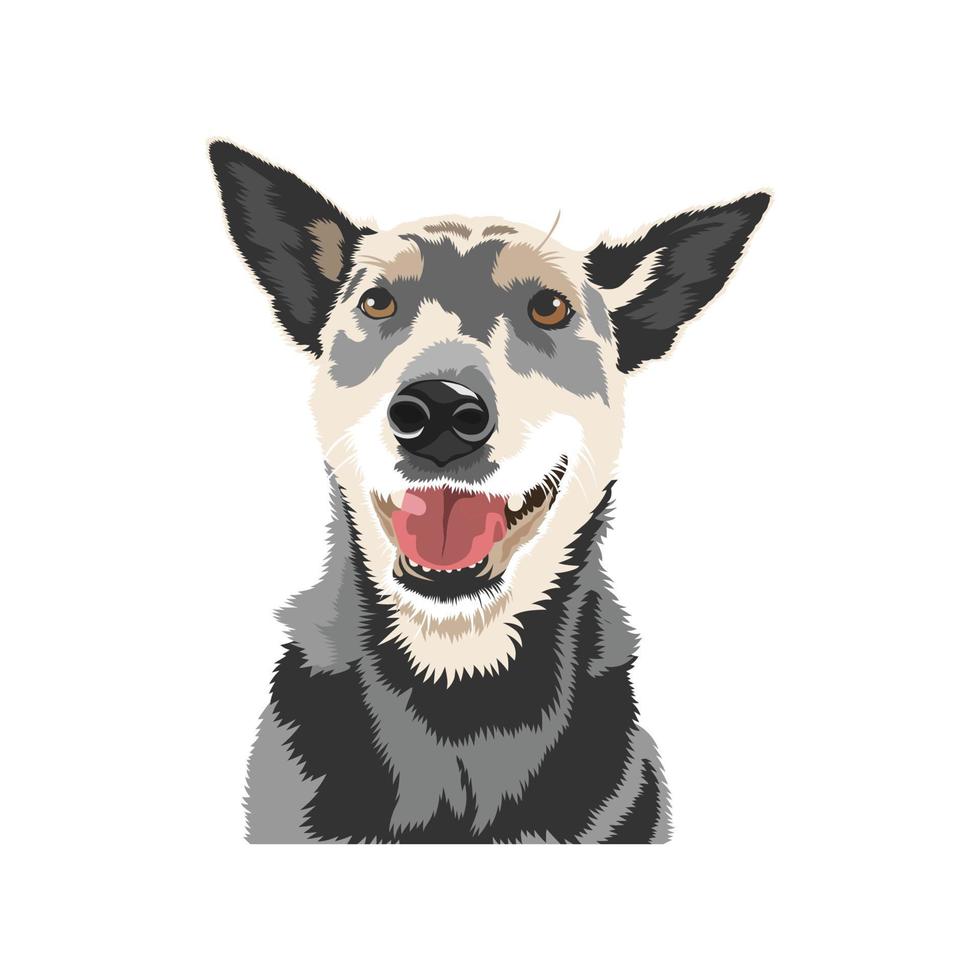 dog colorfull portrait vector illustration