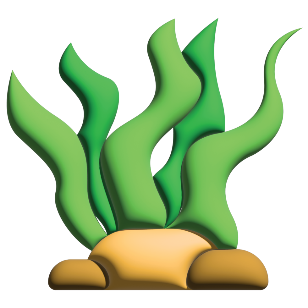 3D illustration seaweed in nature set png