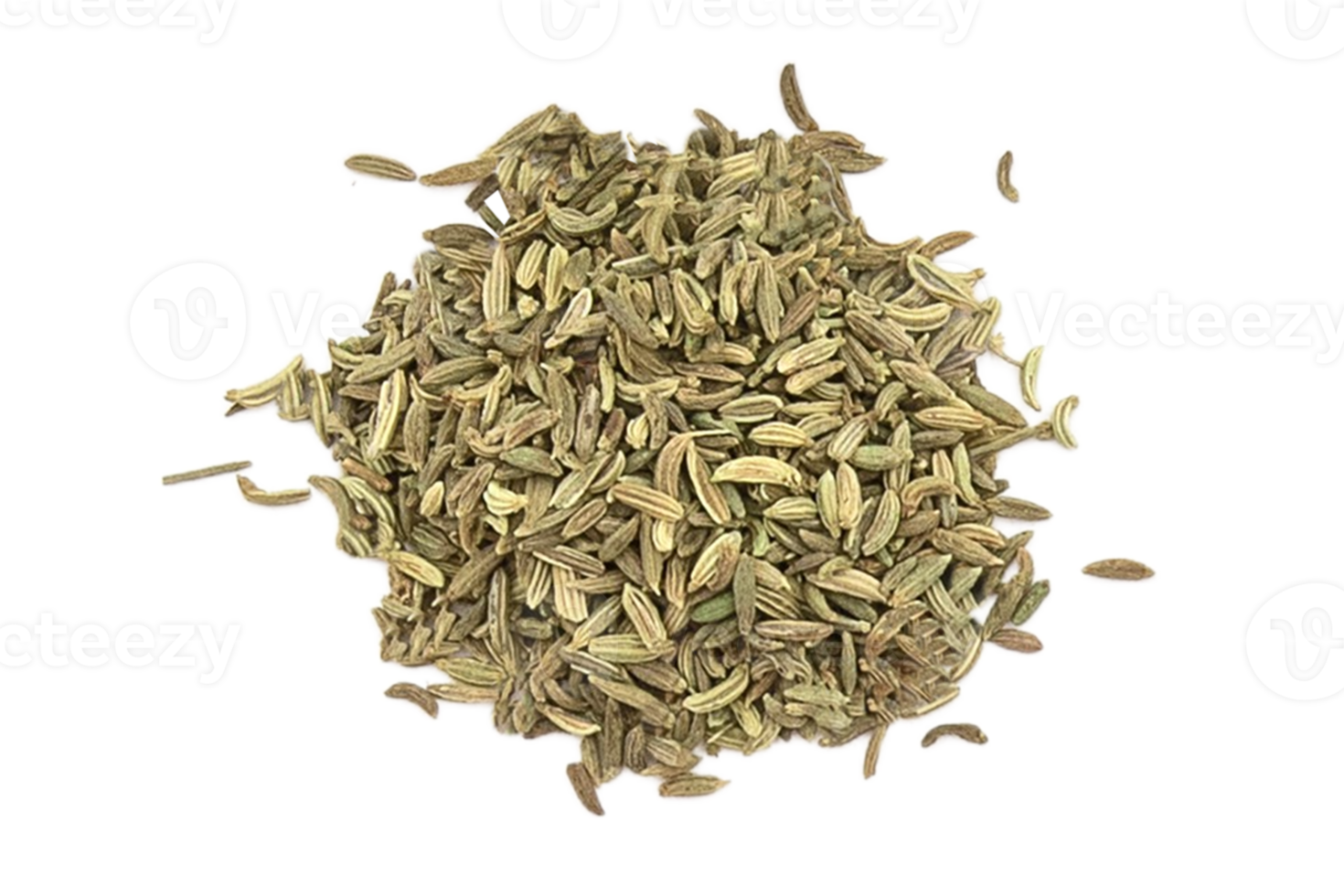 Fennel seeds isolated on a transparent background png