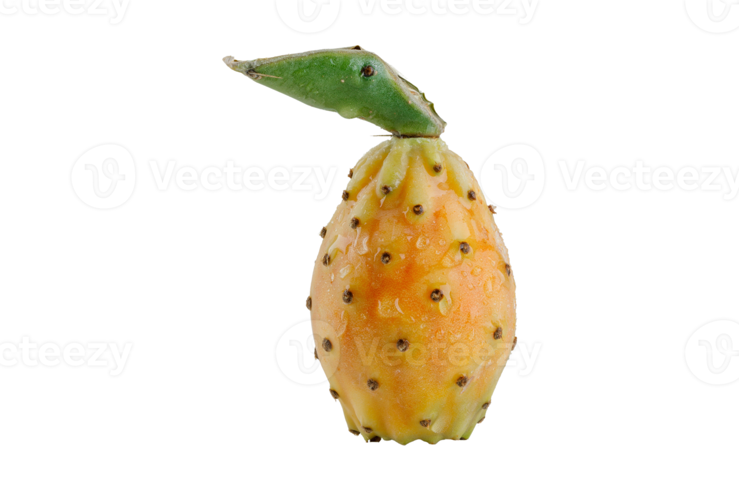 Dragon fruit isolated on a transparent background png