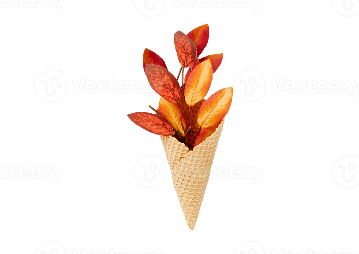 Cone with leaves isolated on a transparent background png